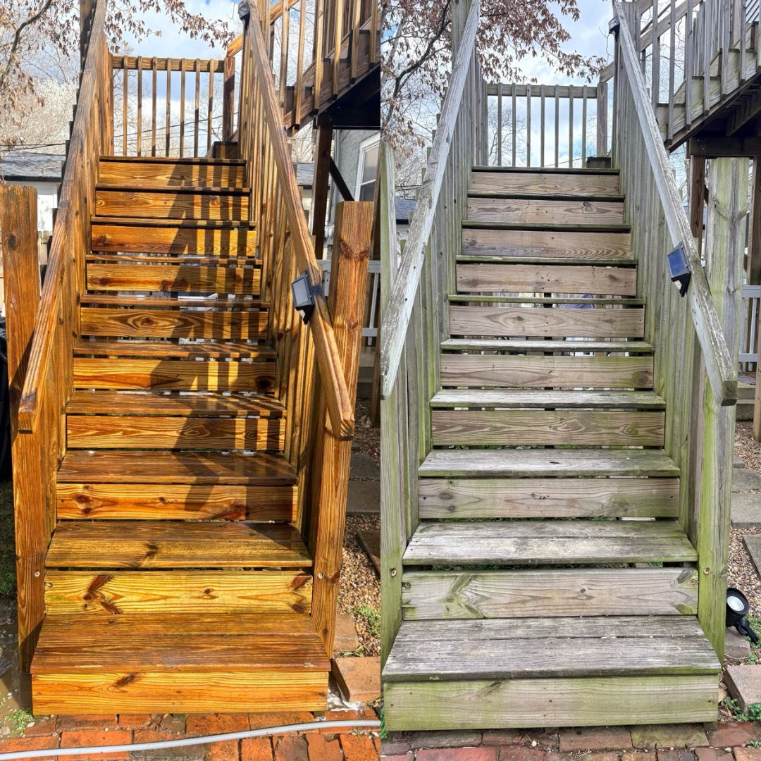 Deck & Fence